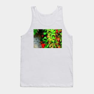 Virginia creeper with some fruits on the wall in autumn Tank Top